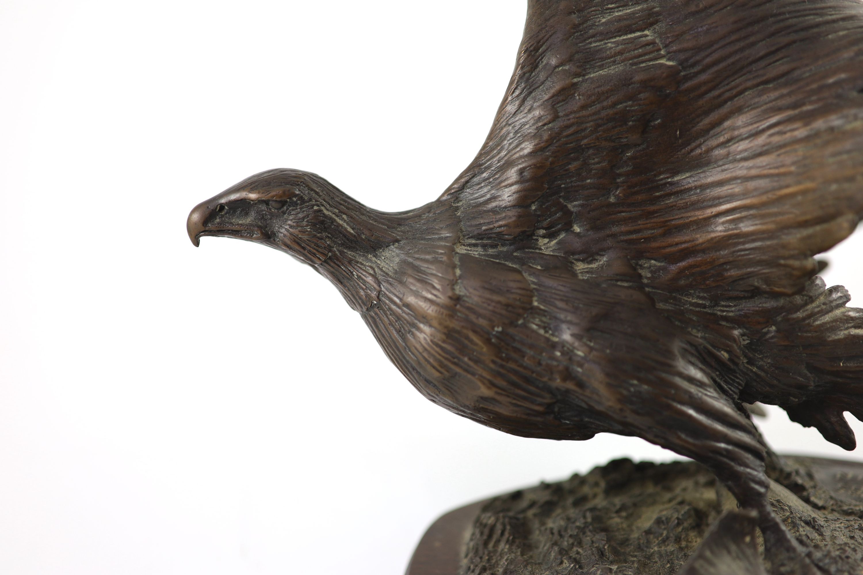 Tim Nicklin. A bronze model of an Osprey catching a salmon width 33cm height 25cm